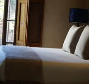 Raíz Hotel Boutique San Miguel de Allende hotel detail image 5