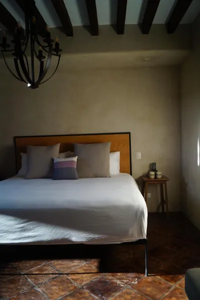 Raíz Hotel Boutique San Miguel de Allende hotel detail image 6