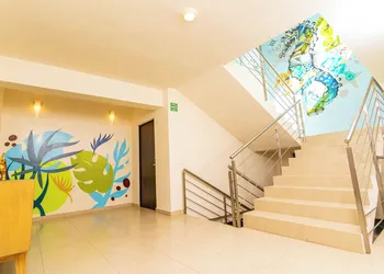 Ma-Jo Sayulita Hotel hotel thumbnail 8