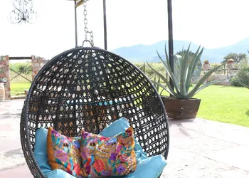 Casa Pavo Real en Viñedo El Pavo Real hotel thumbnail 3