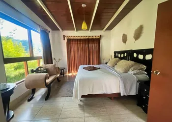 La Palapa & Posada Mía hotel thumbnail 3