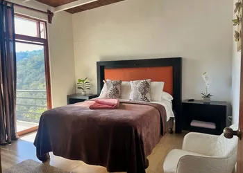 La Palapa & Posada Mía hotel thumbnail 5