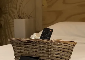 Mi Ranchito Casa de Huéspedes hotel thumbnail 7