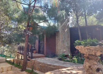 Hotel La Cabana Del Bosque hotel thumbnail 6
