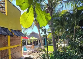 Ocean Oasis Hotel hotel thumbnail 4