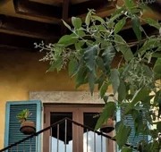 Porta Paradiso Albergo Boutique hotel detail image 5