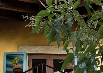 Porta Paradiso Albergo Boutique hotel thumbnail 5