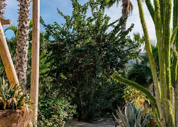 La Poza Boutique Hotel & Spa - Adults Only hotel thumbnail 4