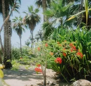 La Poza Boutique Hotel & Spa - Adults Only hotel detail image 5