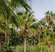 La Poza Boutique Hotel & Spa - Adults Only hotel detail image 7