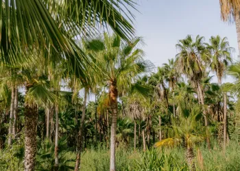 La Poza Boutique Hotel & Spa - Adults Only hotel thumbnail 7