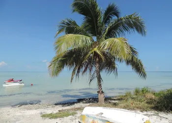 ikarus kiteboarding hotel thumbnail 8
