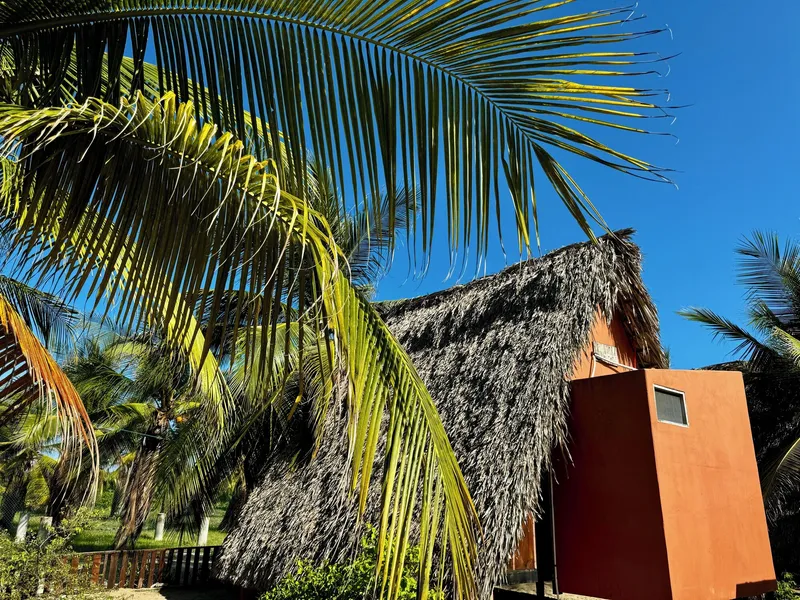 Cabañas Riviera Afro hotel detail image 2