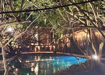 Hotel Caimán Habitat Tulum Beach hotel thumbnail 2