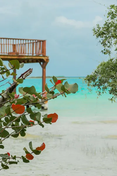 Mayan Playa Bacalar hotel detail image 6