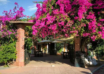 Hotel Casa Bugambilias hotel thumbnail 8