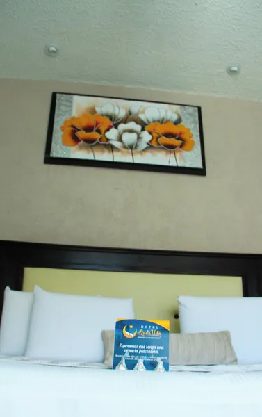Hotel Linda Vista hotel detail image 6