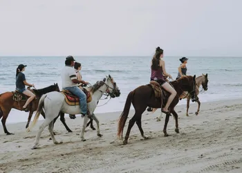Akoma San Pancho hotel thumbnail 4