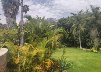 Zanara Hotel Boutique hotel thumbnail 7