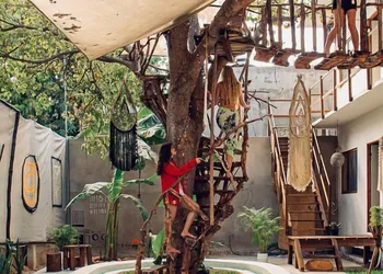 The Pool Treehouse Hotel hotel thumbnail 6