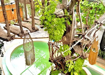 The Pool Treehouse Hotel hotel thumbnail 8