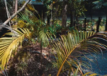 Kataleya hotel thumbnail 6