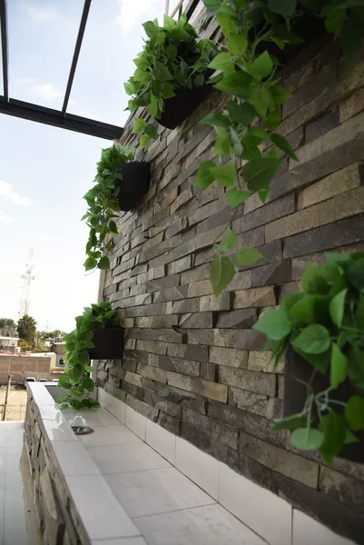 Hotel & Suites Punto Oriente hotel detail image 6