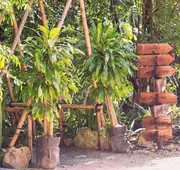 Ekumal Retreat Eco Sanctuary hotel detail image 5