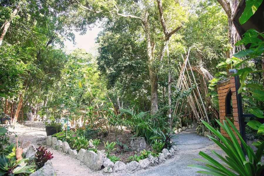 Ekumal Retreat Eco Sanctuary hotel detail image 6