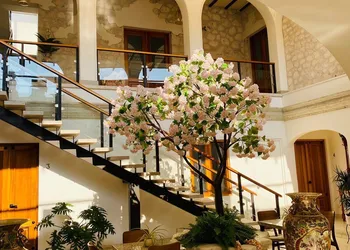Mansión Leonor hotel thumbnail 2