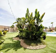 Quinta San Carlos hotel detail image 7