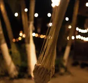 Coconut by ÓOL Hotels hotel detail image 5