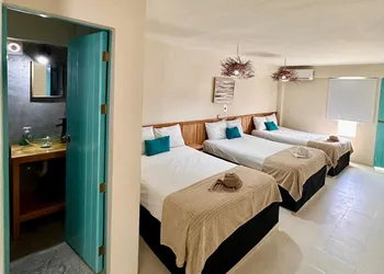 Hotel Boutique Cacao Cozumel hotel thumbnail 2