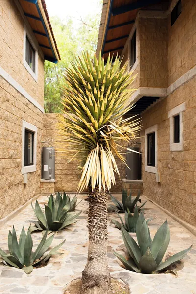 Cabañas Bungalos las Alazanas hotel detail image 6