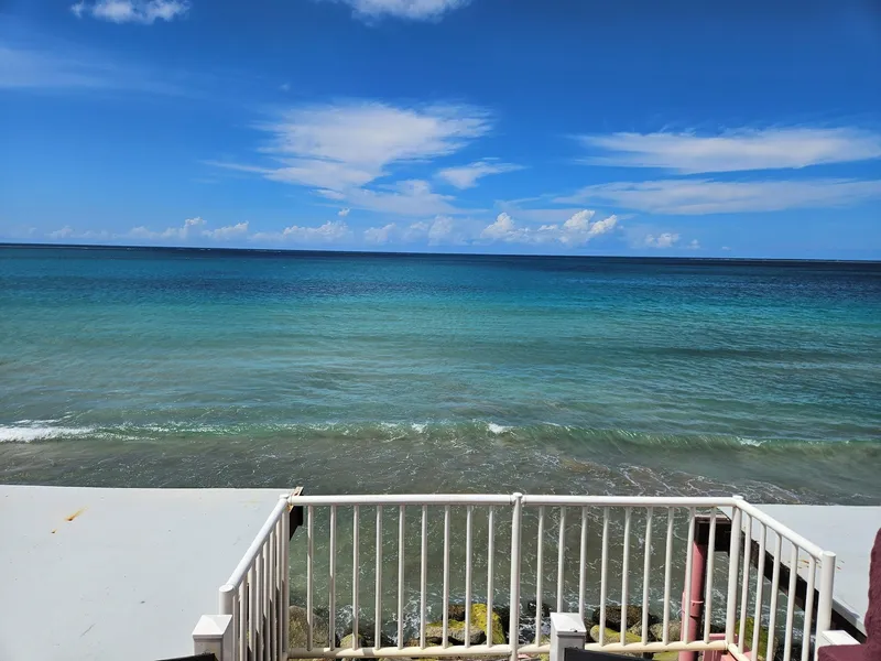 Selva Boutique Hotel - Luquillo Oceanfront Retreat - Adults only hotel detail image 6