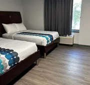 Clemmons inn & suites hotel detail image 4