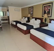 Hotel Confort Plaza hotel detail image 5