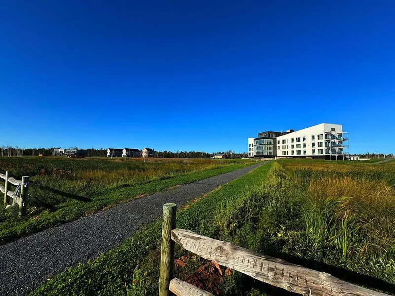 Blackbush Beach Resort hotel detail image 2