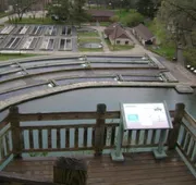 Roaring River State Park hotel detail image 4