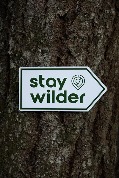 Stay Wilder - Adults Only hotel detail image 2