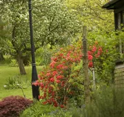 Cleavers Lyng - Guest house hotel detail image 3