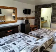Ohiopyle Suites hotel detail image 5