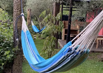 SUR ono SUR Lodge hotel thumbnail 8