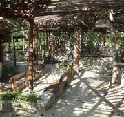 Ka'ax Cenote Resort hotel detail image 5