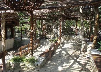 Ka'ax Cenote Resort hotel thumbnail 5