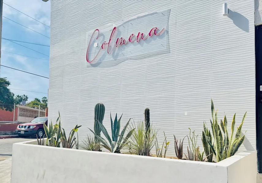 Colmena Hotel Los Cabos Marina hotel detail image 2