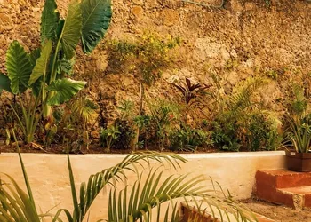 Hotel Boutique Casa Jade hotel thumbnail 6
