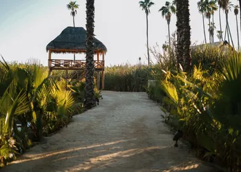 Amet Nature Retreat hotel thumbnail 4