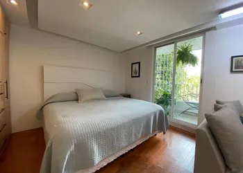 Casa Frida Condesa hotel thumbnail 8
