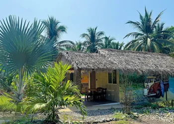 Casa Las Palmas hotel thumbnail 8